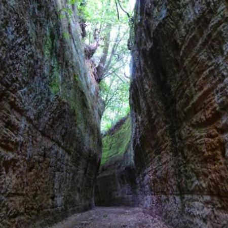 La Casa All'Oliveto Pitigliano Dış mekan fotoğraf