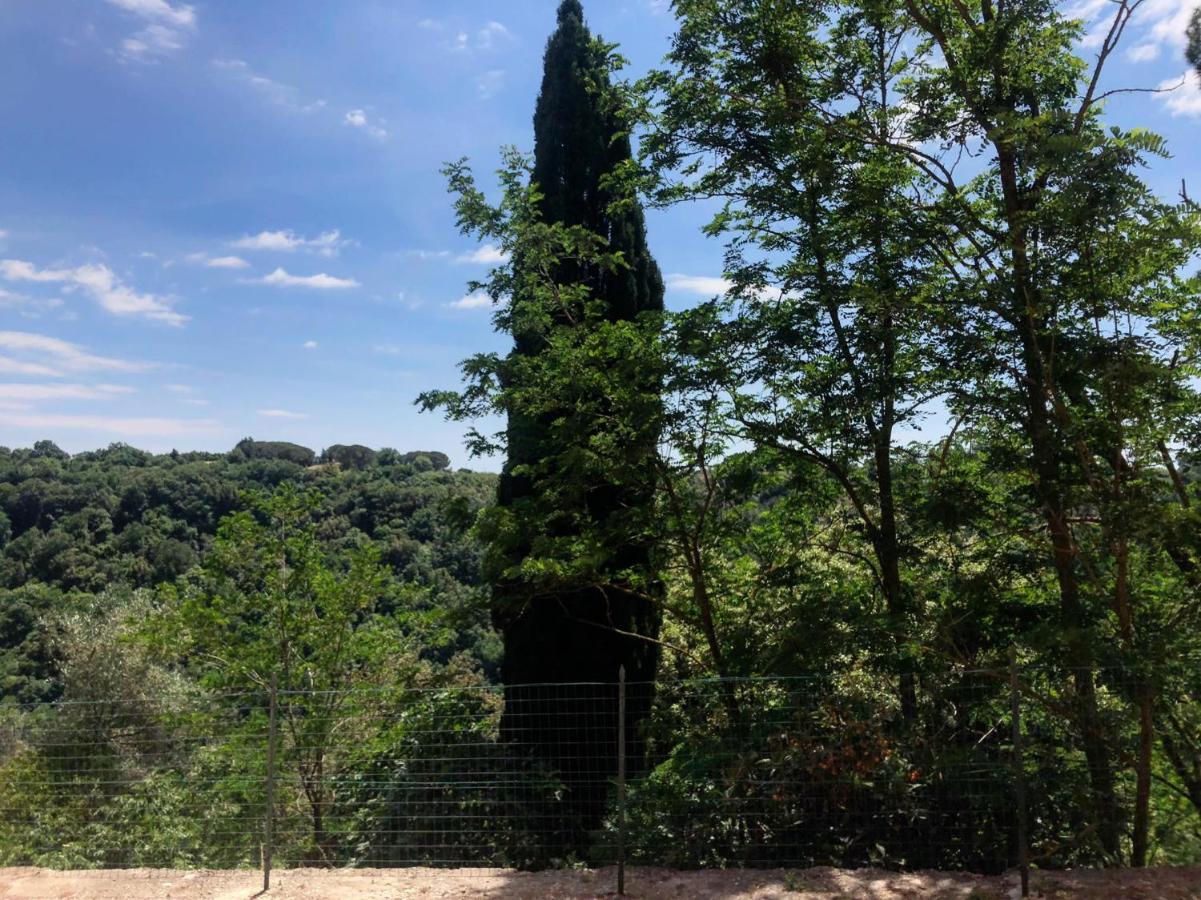 La Casa All'Oliveto Pitigliano Dış mekan fotoğraf