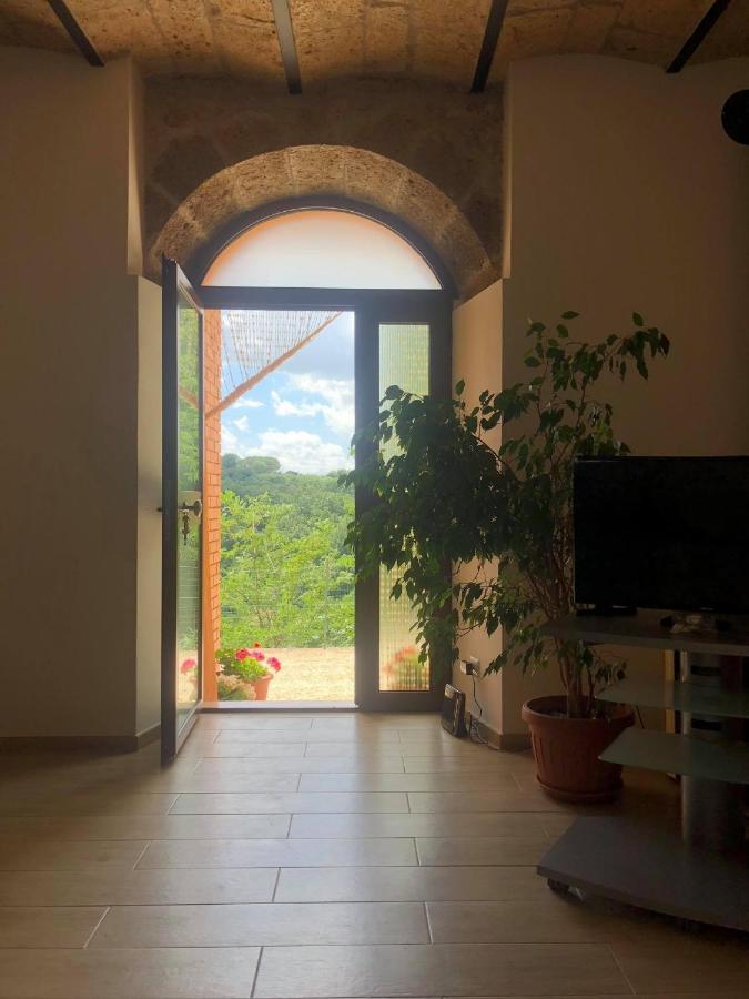 La Casa All'Oliveto Pitigliano Dış mekan fotoğraf