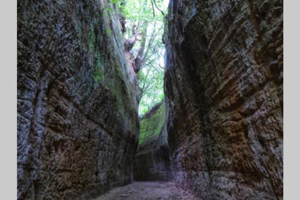 La Casa All'Oliveto Pitigliano Dış mekan fotoğraf